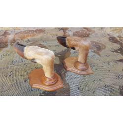 Patte de cerf - Porte-manteau, porte-fusil
