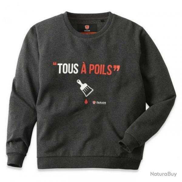 Collection de sweats professionnels  motifs humoristiques Parade Protection SWEAT S Gris PSWEAT