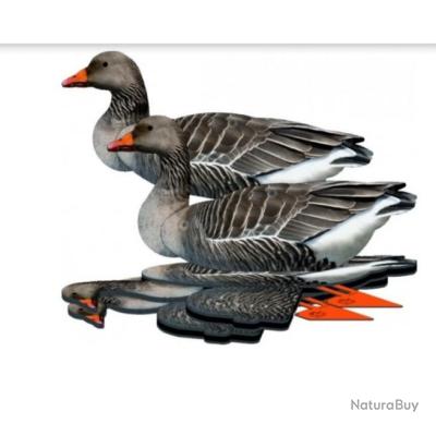 Pack 6 formes oie cendrèe nra fud - Formes plastique ...