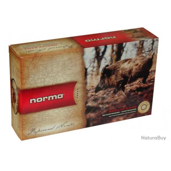 NORMA 7mm Rem Mag 11g 170grains PPDC