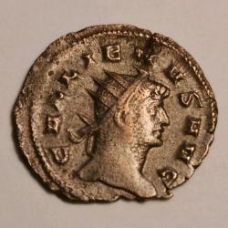 Pièce Romaine / Roman Coins - Gallienus Siscia - PAX AVG / S I