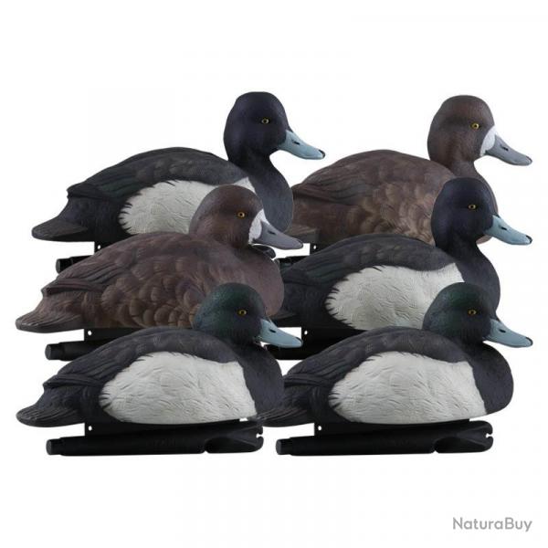 Formes de morillon AvianX