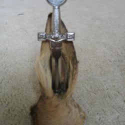 oreille de chevreuil porte coupe-papier