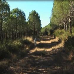 La Rasclause - Action de chasse Villetelle (34) Saison 2026-2027