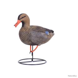 Appelant réaliste colvert femelle cou droit avec pied