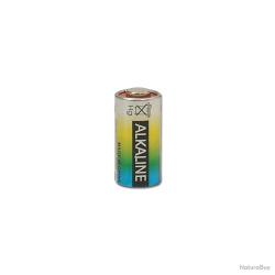 Pile 476A - 6 volts