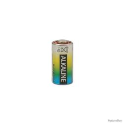 Pile 476A - 6 volts