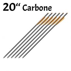 Pack de 6 Flèches Carbone de 20 pouces (51cm)