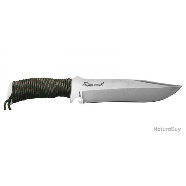 WILDSTEER - WITXB0116 - TX BOWIE