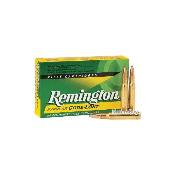 Munitions Remington Cal. 30-06 Corelokt PSP 14.2gr 220gr par 20