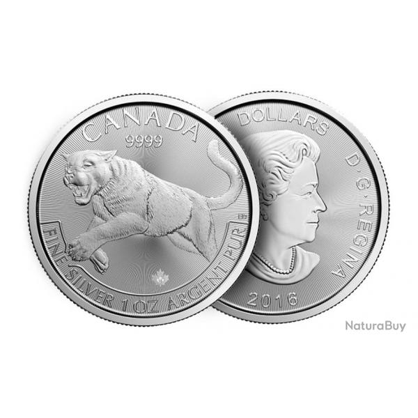 RARE pice argent pur 1 oz CANADA Predators "Cougar" 2016, tube de 25 pices