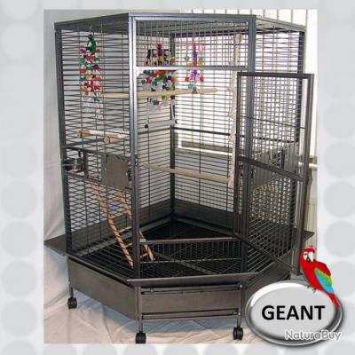 Cage Perroquet Xxl Voliere Geante Cage Ara Gris Du Gabon Amazone Eclectus Cacatoes Top 13o