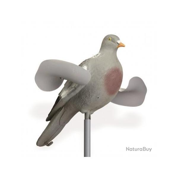 Pigeon Ailes Tournantes