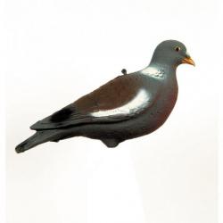 Pigeon ramier HD