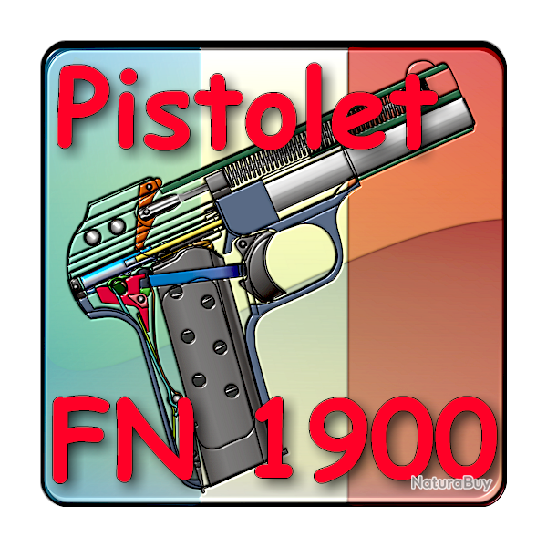 Le Pistolet FN 1900 expliqu - ebook