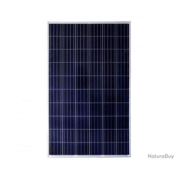 Panneau solaire 320 Watt 24V Polycristallin photovoltaque PV Panneaux 1956x992