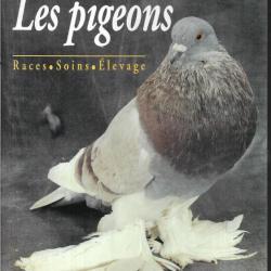 les pigeons races soins élevage de pierre corcelle