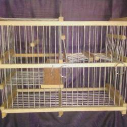 Cage à balance toujours prête  pour récupérer vos oiseaux
