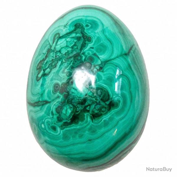 Oeuf de malachite - 55 mm - 222 g