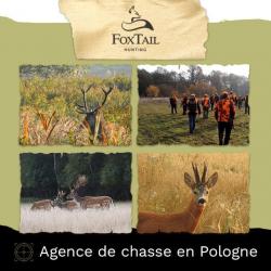 BROCARDS (4 prix) EN POLOGNE 2023 + sanglier gratuit