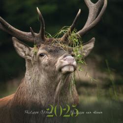 Calendrier animalier 2025