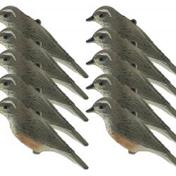 Pack 10 formes grive mauvis