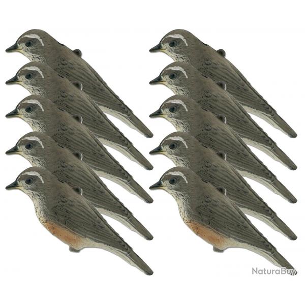 Pack 10 formes grive mauvis