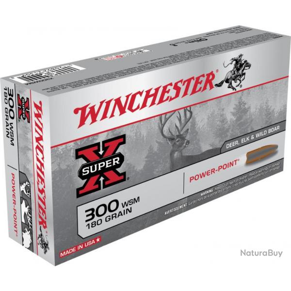 20 Munitions WINCHESTER cal 300 WSM 180gr Power Point