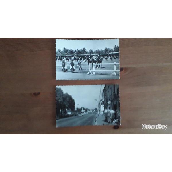 Lot de deux cartes postales anciennes Saumur Cadre Noir cavalerie franaise