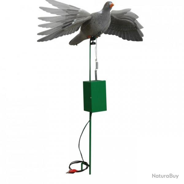 Appelant pigeon lectrique  ailes battantes