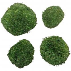 Mousse naturelle stabilisée forme arrondie - Vert foncé - Lot de 4
