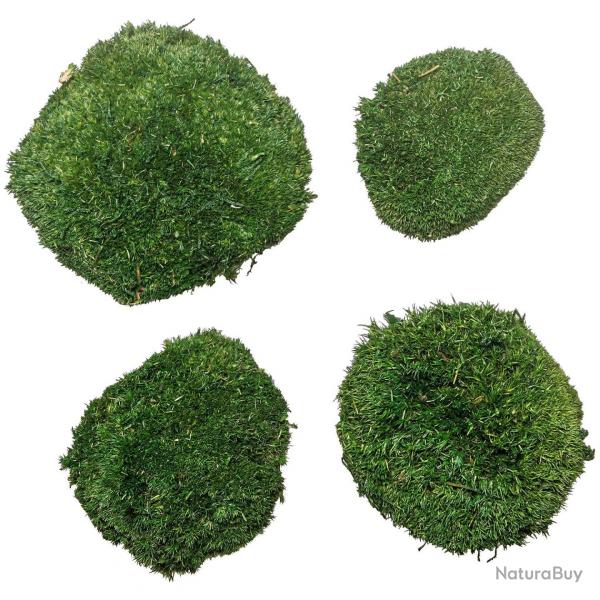 Mousse naturelle stabilise forme ronde - Vert fonc - Lot de 4