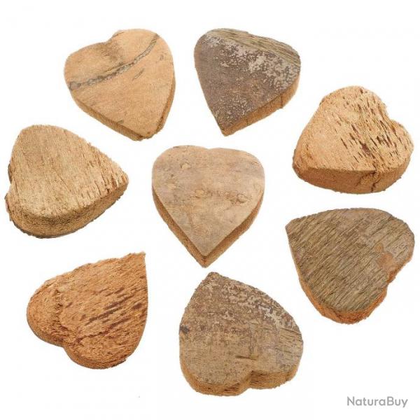 Coeurs dcoups dans une noix de coco - Lot de 10