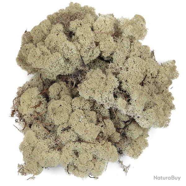 Lichen des rennes stabilis blanchi - 120 grammes