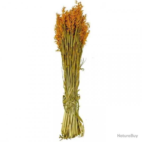 Bouquet fleurs sches avoine orange - 70 cm