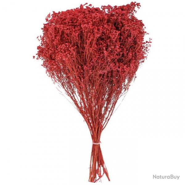 Bouquet fleurs sches broom bloom rouge - 50 cm