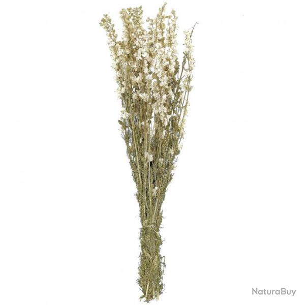 Bouquet fleurs sches delphinium blanc - 60 cm