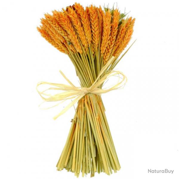 Bouquet de fleurs sches compos orange - 30 cm