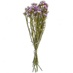 Bouquet de fleurs séchées statice sinuata lilas clair - 45 cm