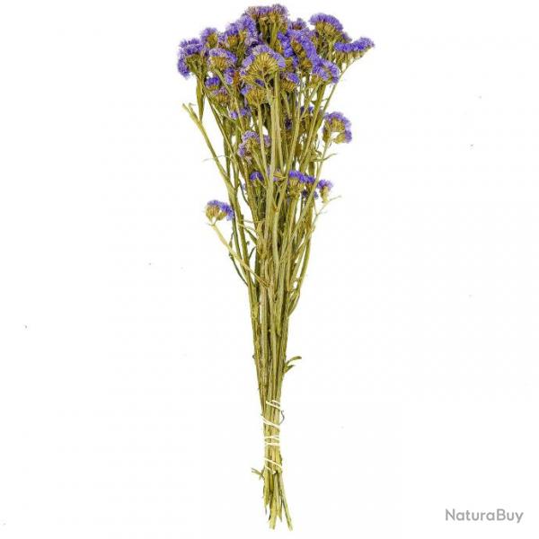 Bouquet de fleurs sches statice sinuata violet - 45 cm