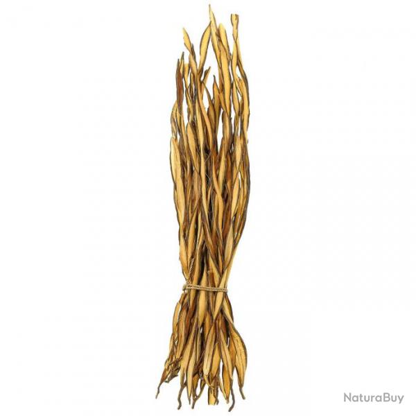 Fagot d'herbe fire grass - 35 cm