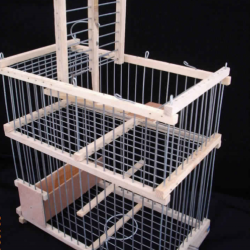 Cage à Trébuchet + cage appelant
