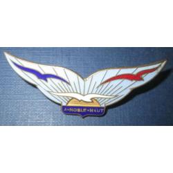 Insigne Armée de l'Air Institution de Jeunes Filles-Echouboulains