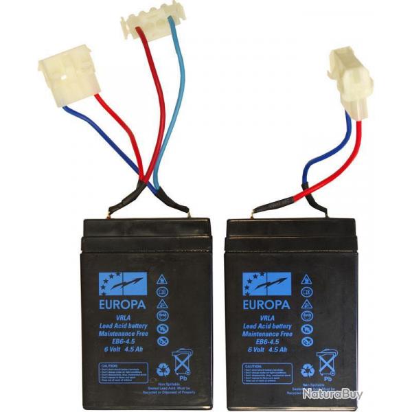 Anatec jeu de 2 batteries au plomb 6v/5a