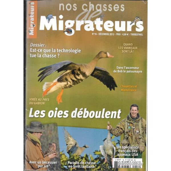 nos chasses de migrateurs n16 dcembre 2012 oies , vanneaux , au pays du gabion , canard