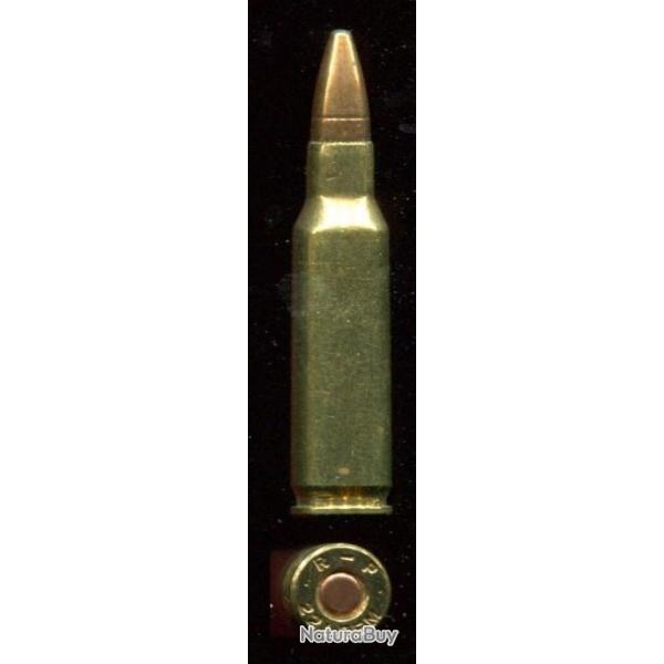 .221 Remington Fireball - R-P - balle cuivre pointe creuse