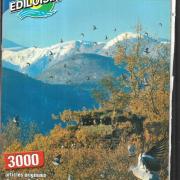 REVUE LE CHASSEUR Français N° 796 EUR 4,00 - PicClick FR