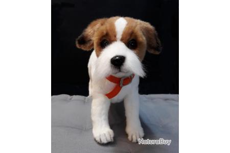 peluche jack russel