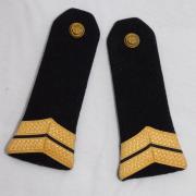 ECUSSON VERITABLE GRADE DE L'ADJUDANT-CHEF DE L'ARMEE KAKI JAUNE