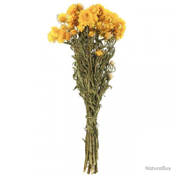 Bouquet fleurs sches hlichrysum jaune (immortelles) - 45 cm